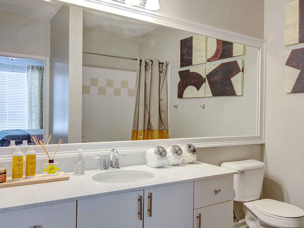 The Ascent at Windward apartments in Alpharetta Georgia photo of bathroom with updated materials