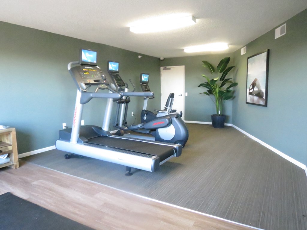 the fitness room has a treadmill and a potted plant