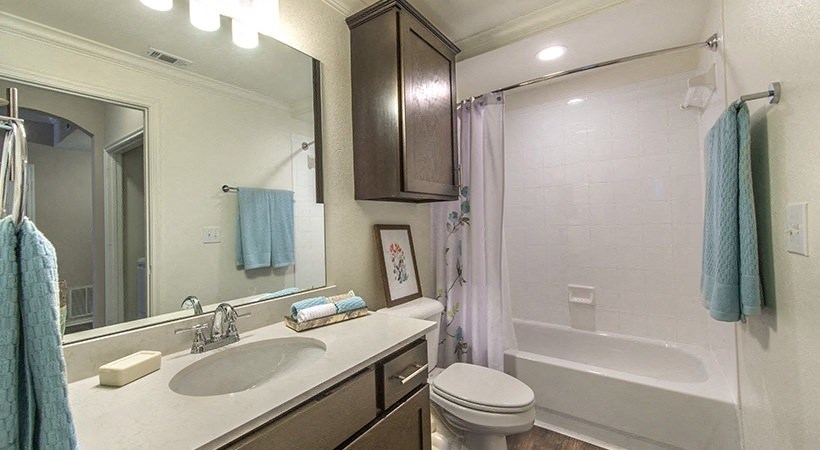 a bathroom with a sink toilet and a shower