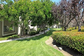 Beautiful landscaping