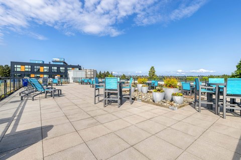 Green Lake, Seattle, WA, Apartments - Circa Greenlake - Outdoor Sundeck Terrace with Concrete Tile Flooring, Lounge Chairs, Tall Tables with Seating, Large Planters with Greenery, Grilling Area, Surrounding Railing with Glass Panels, and Forest/City Views.