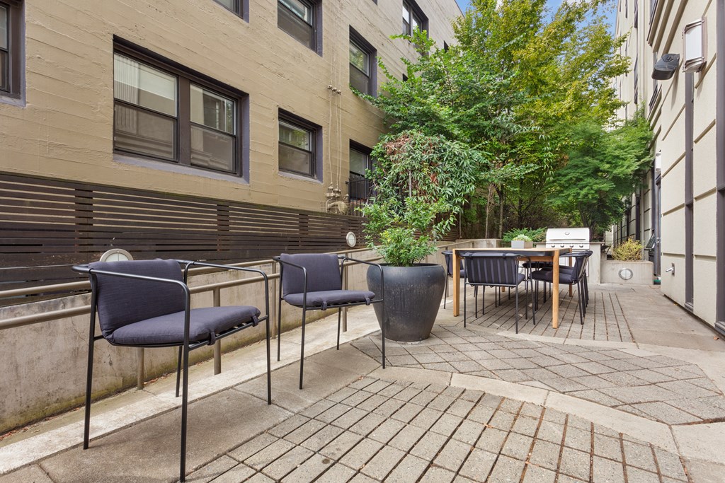 a patio with chairs and a table and a tree