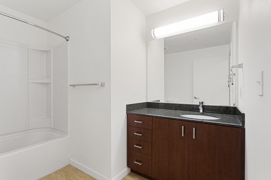 a bathroom with a sink and a mirror and a shower