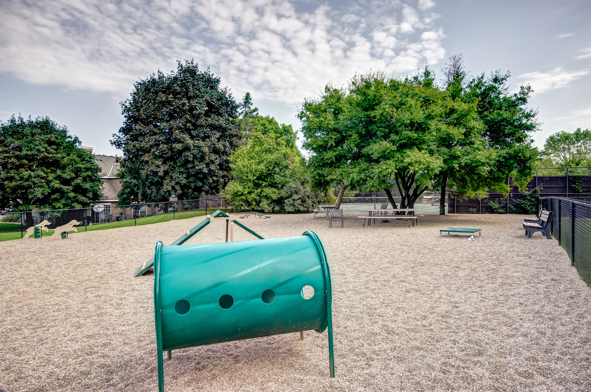 Dog park with agility course