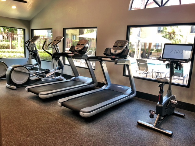 24 Hour Fitness Center, cardio machines