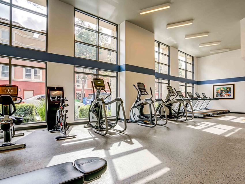 updated fitness center with 20 foot floor to ceiling windows - Photo Gallery