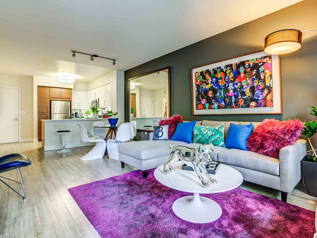 Spacious Living Room with Comfortable Gray Couch and Vibrant Colorful Pillows and Rug.