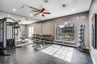 a home gym with a window and weights machines and a ceiling fan