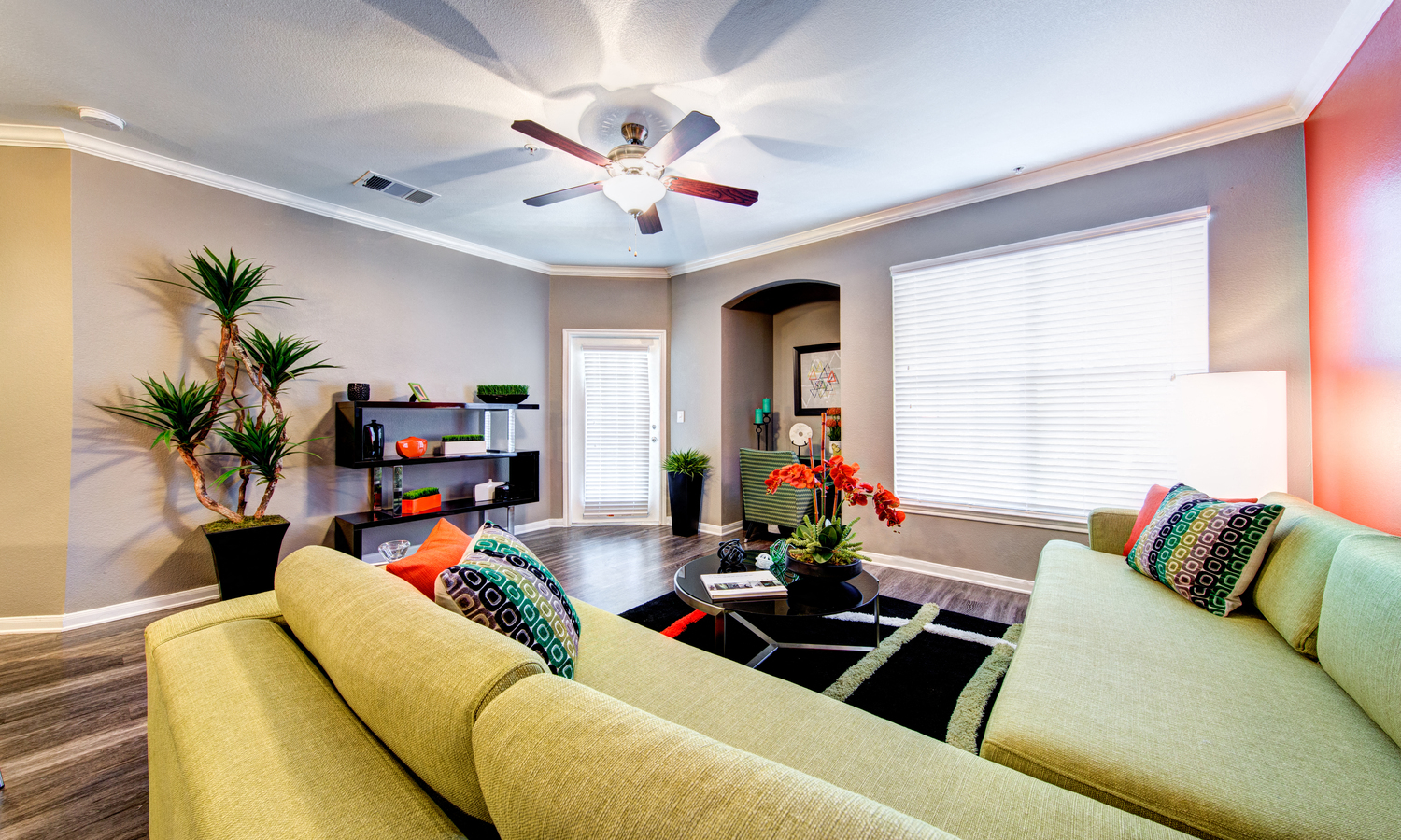 lots of natural light in apartment