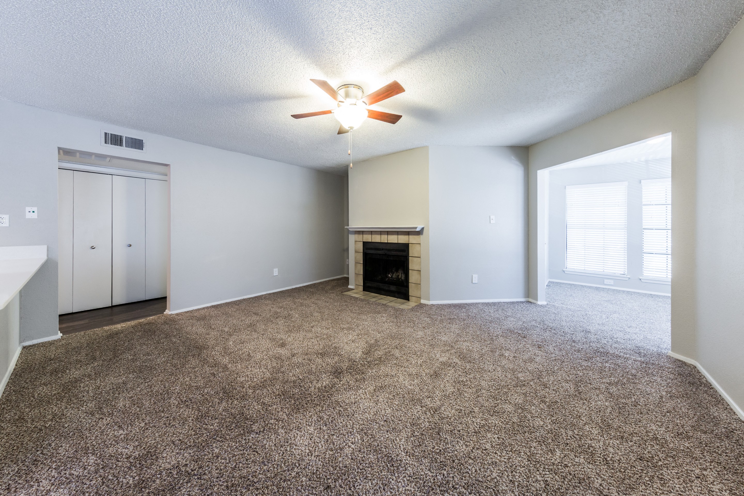 Wood-Burning Fireplace