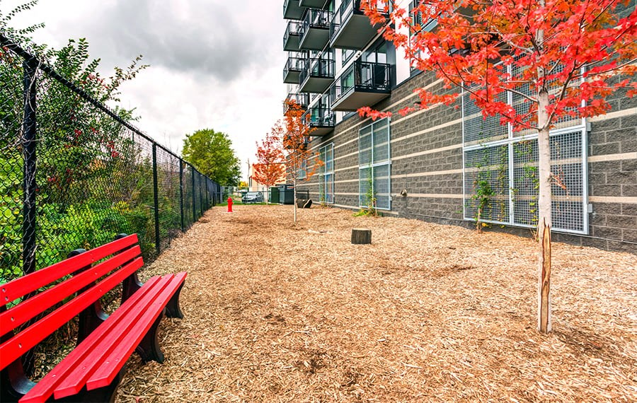 A red bench sits in a park-like area with a tree and a building in the background.