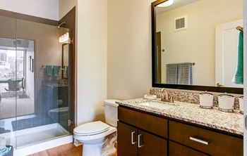 a bathroom with a shower toilet and sink and a mirror