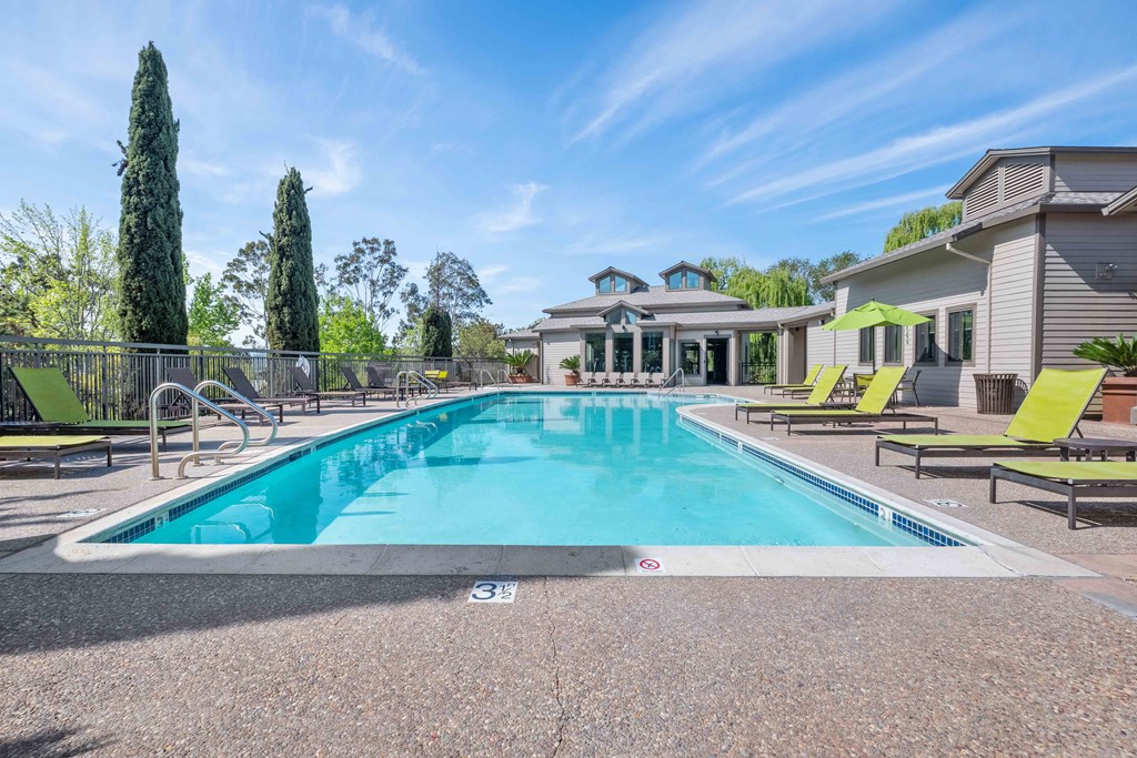 Apartments for Rent in Larkspur, CA - Larkspur Courts - Pool with Lounge Chairs, Umbrellas, and Beautiful Landscaping