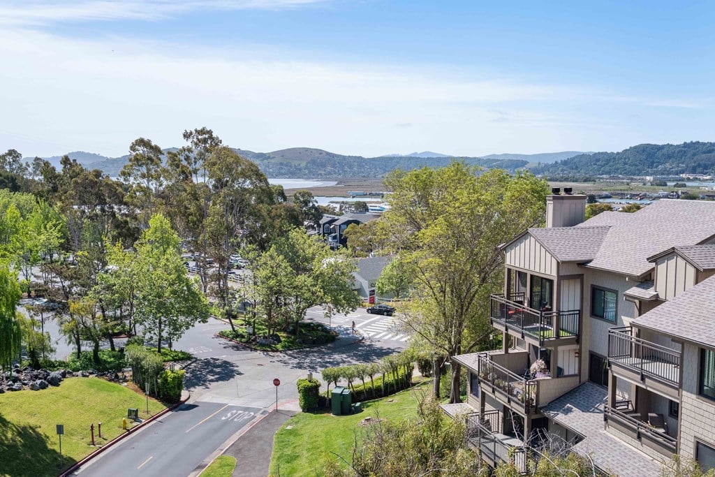 Larkspur, CA Apartments - Larkspur Courts - Property Exterior with Beautiful Landscaping, a Street View, Buildings Showing Balconies, and a Lake and Mountain View in the Background