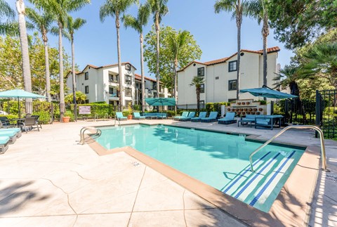 1-Bedroom Apartments in La Jolla, CA - Mirada at La Jolla Colony - Outdoor Pool With Palm Trees, Aqua Lounge Chairs, Shade Umbrellas, Metal Fence, and Apartment Buildings In The Background.