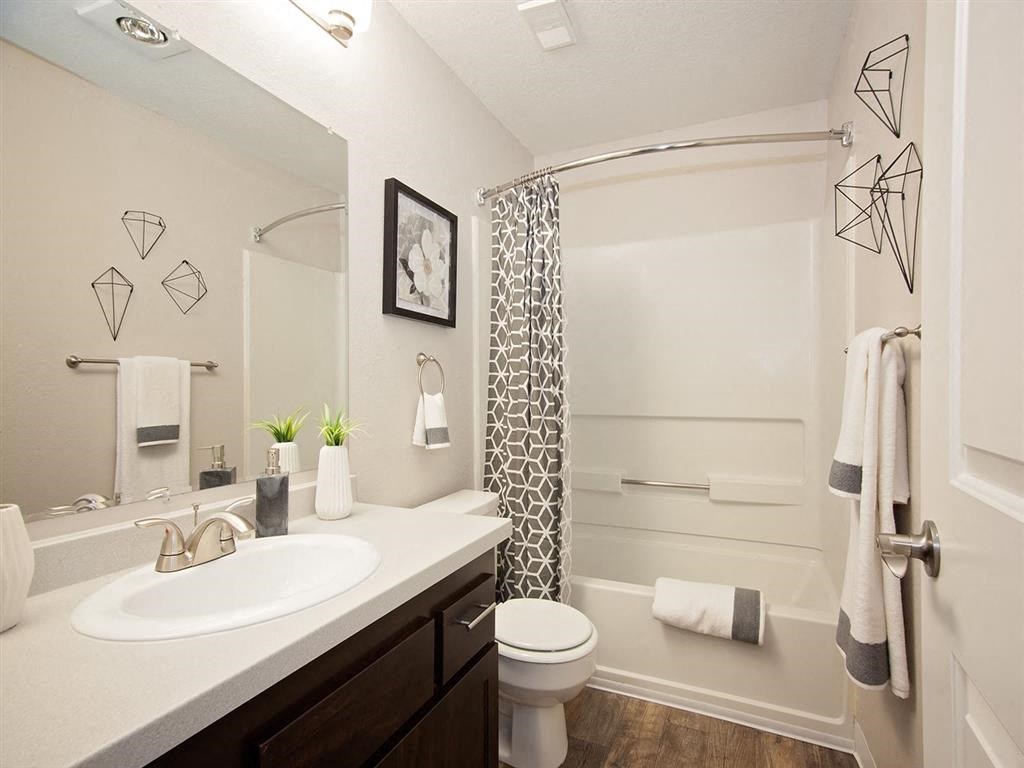 a bathroom with a sink and a toilet and a shower