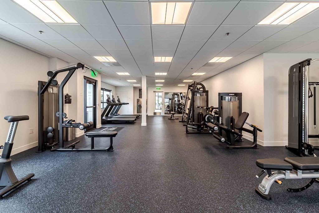 Park Lake At Walnut Creek