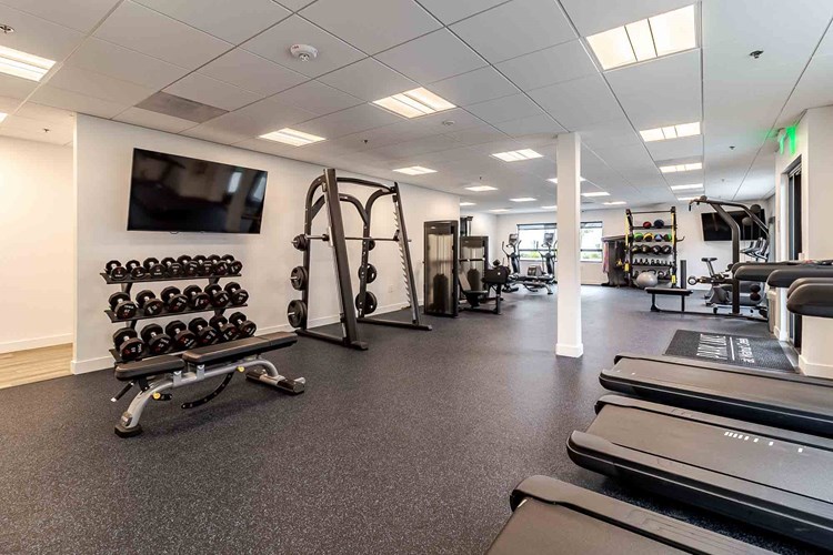 Park Lake At Walnut Creek