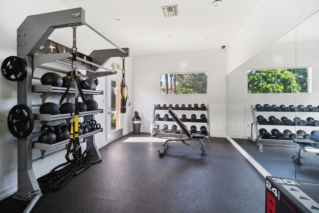 a gym with weights and mirrors on the wall