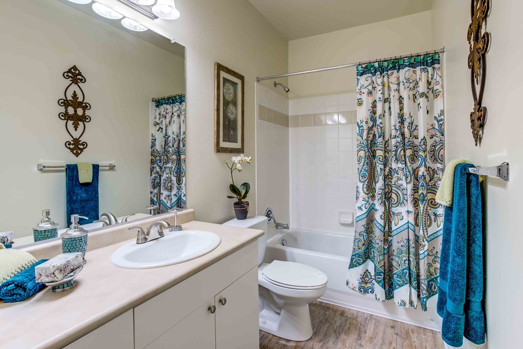 a bathroom with a sink and a toilet and a shower