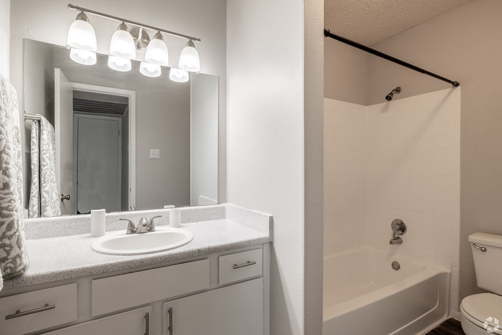 a bathroom with a sink and a shower and a mirror