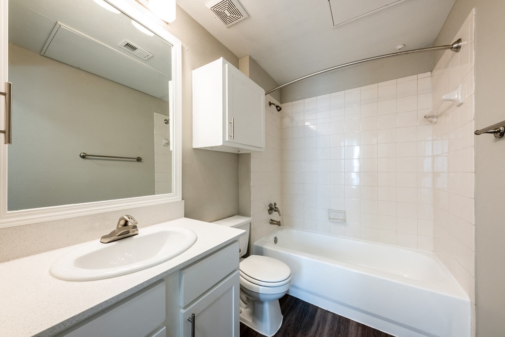 Regency at dell ranch bathroom