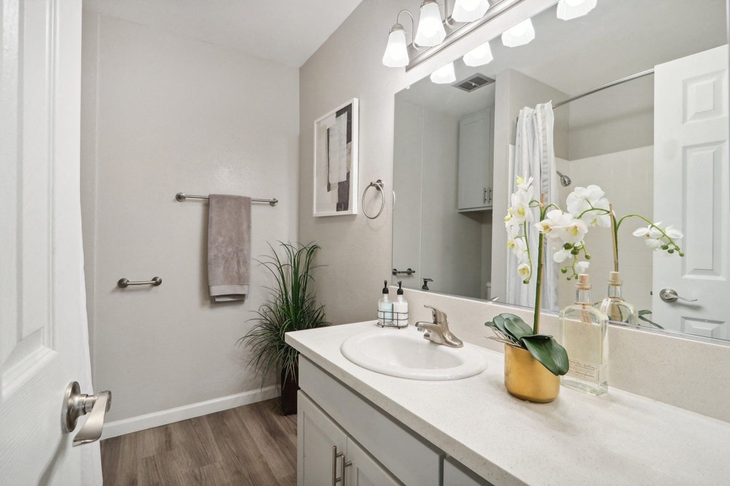 a bathroom with a sink and a mirror