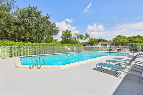 A swimming pool surrounded by trees and a fence.