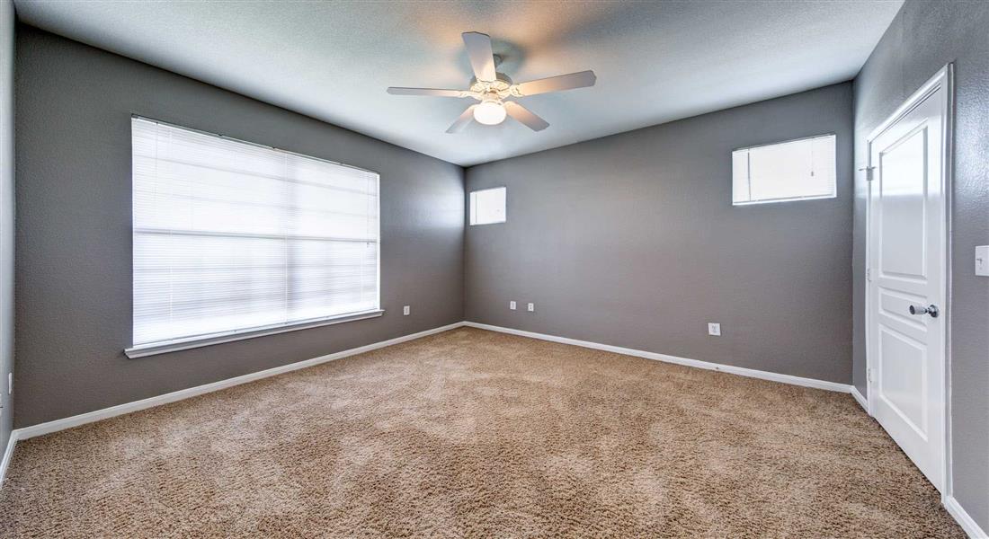 lots of natural light in apartment