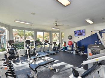 Fully Equipped Cardio Fitness Facility
