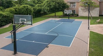 Basketball Court - Photo Gallery 7