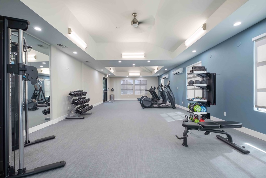 Terra House Apartments