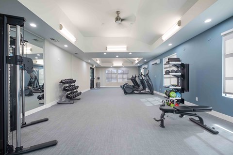 A spacious gym with a variety of equipment including treadmills, stationary bikes, and weight machines.