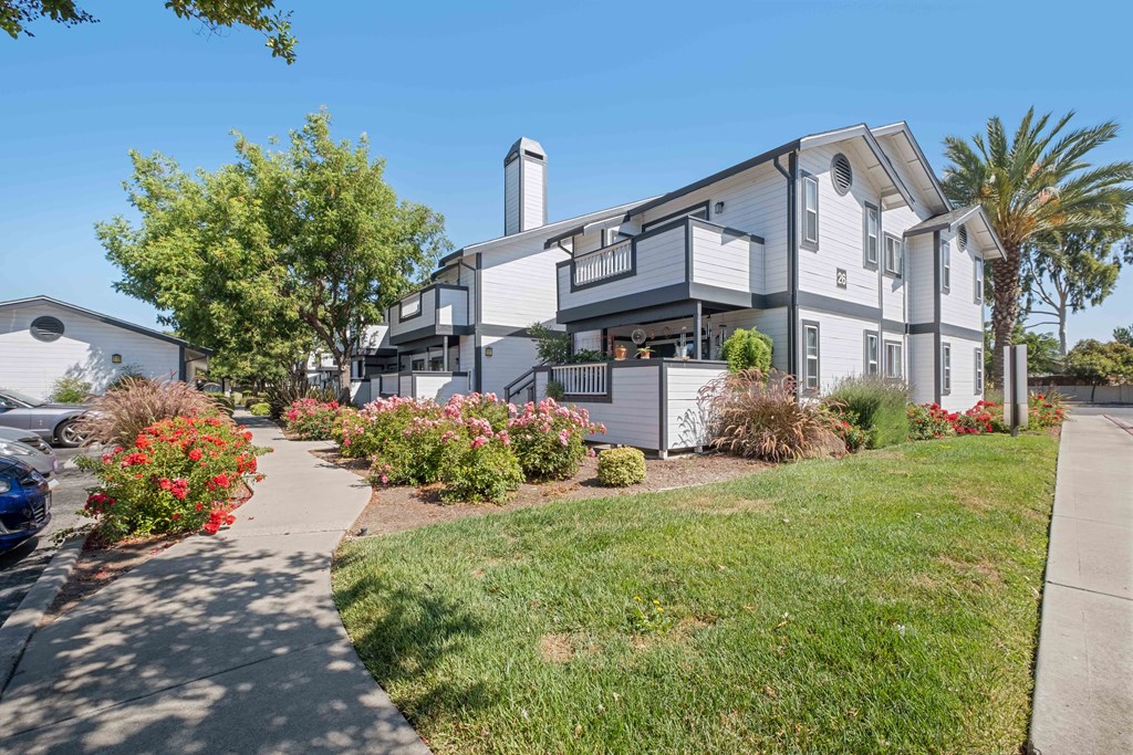 Terra House Apartments