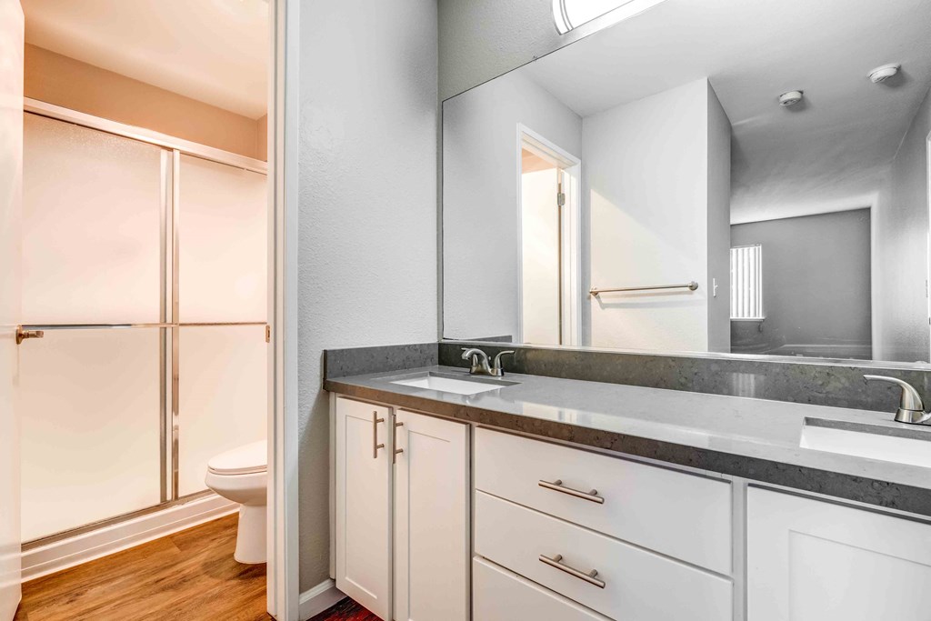 a bathroom with a sink and a mirror and a toilet