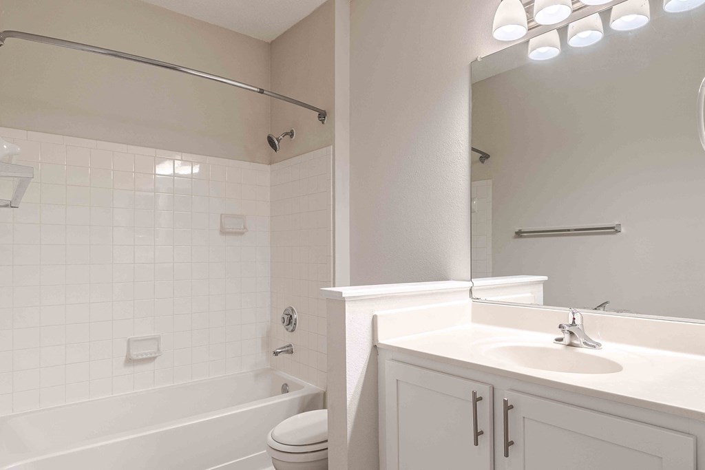 a bathroom with a sink and a toilet and a bath tub