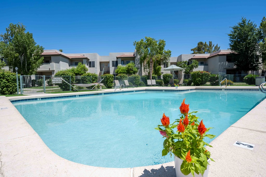 Lakewood, AZ, Affordable Apartments - Village at Lakewood - Pool with Lounge Chairs and View of Apartment Complex.