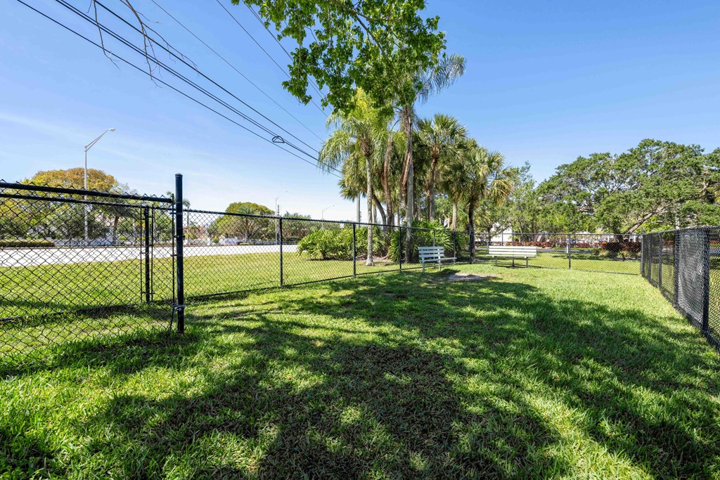 Apartments In Coconut Creek for Rent – Waterview at Coconut Creek – dog park with grassy area and palm trees in background