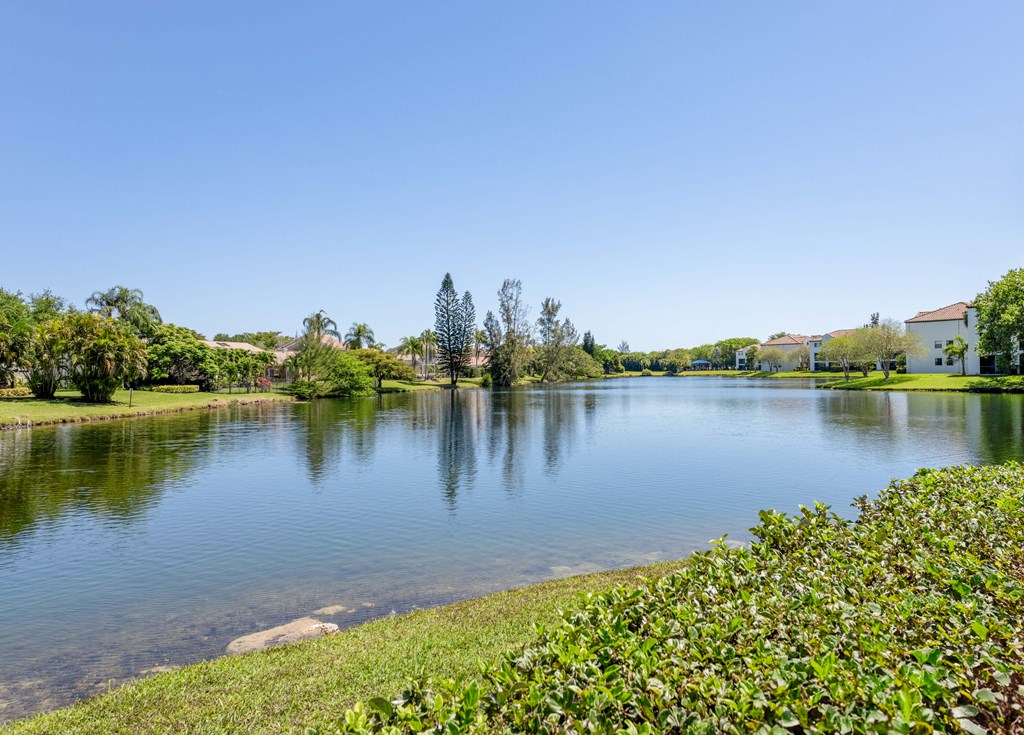 Pet-Friendly Apartments in Coconut Creek, FL – Waterview at Coconut Creek – a lake with plants and trees around it