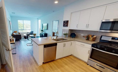 a kitchen and living room with a stove and a sink