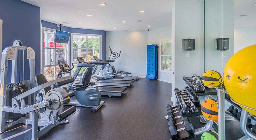 the gym is equipped with cardio equipment and weights