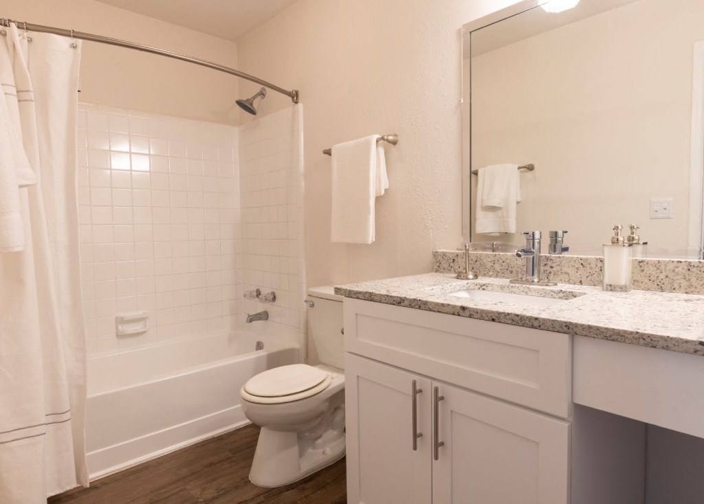 Webb Bridge Crossing Apartments in Alpharetta Georgia photo of a bathroom with a bathtub toilet and sink