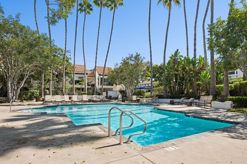 A swimming pool surrounded by palm trees and lounge chairs.