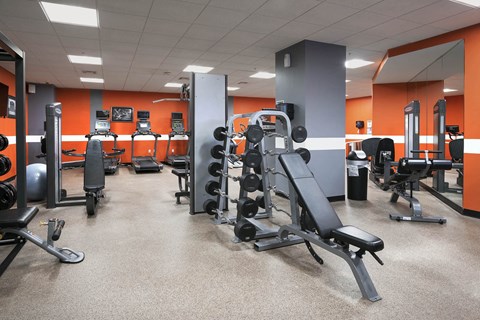 A gym with orange walls and a variety of equipment.