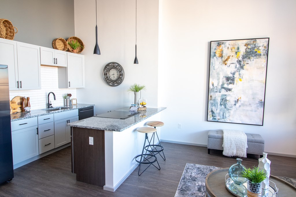 Kitchen and Living Space