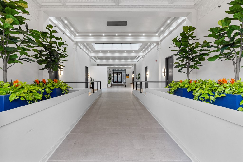 The Delmonte Apartments, 5622 Delmar Blvd, St. Louis, MO RentCafe