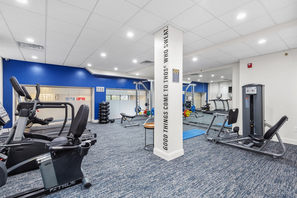 The Delmonte Apartments, 5622 Delmar Blvd, St. Louis, MO RentCafe