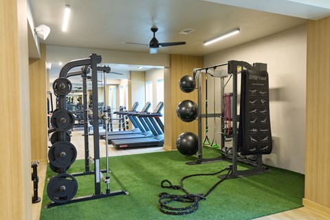 A gym with a green carpet and a variety of equipment including a treadmill, weights, and a pull up bar.