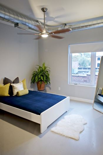 A bedroom with a bed, pillows, a fan, a window, and a potted plant.
