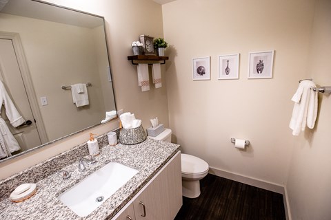 Model Bathroom